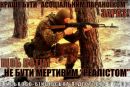 Κонстантин Ηикитин фотография #33 (источник - https://vk.com/id157221318)