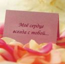 Фотография Сорокиной Елены