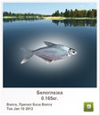 Вадім Клямар фотография #36 (источник - https://vk.com/id159188464)