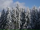 Дюрі Козма фотография #8 (источник - https://vk.com/id16308882)