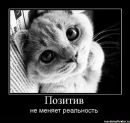 Володимир Вікторович фотография #8 (источник - https://vk.com/id161633282)