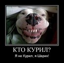 Ігор Вознюк фотография #32 (источник - https://vk.com/id168063002)