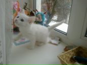 Фотография Храмцовой Людмилы