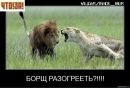 Фотография Ельжанова Артура