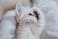 Андрій Мартинович фотография #28 (источник - https://vk.com/id58962999)