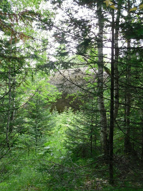 Бьёрн Регер фотография #44