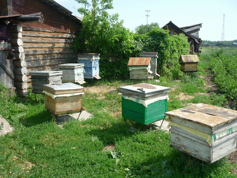 Никита Плотников фотография #6