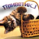 Юлічка Шелест фотография #1