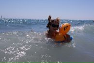 Фотография Koroleva Elena