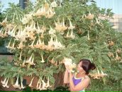 Фотография Царевской Евгении