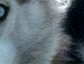 Владислав Матвеев фотография #18 (источник - https://vk.com/id19483890)