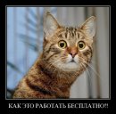 Фотография Буйловой Дарьи