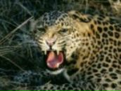 Фотография Варнаева Ивана