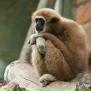 Фотография Рунова София