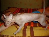 Фотография Сахаровой Ольги