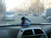 Фотография Твалтвадзе Тимура