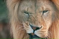 Лилли Ванилли фотография #9 (источник - https://vk.com/id3522363)