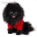 Юлічка Герун фотография #37 (источник - https://vk.com/id135355834)