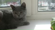 Фотография Никоновой Натальи