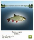 Андрій Скляров фотография #2 (источник - https://vk.com/id121657921)