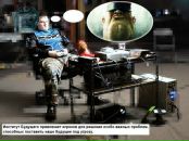 Фотография Воробьё Тима