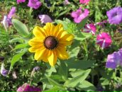 Фотография Хорошевой Натальи