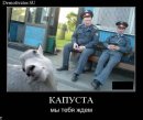 Іван Горбань фотография #13 (источник - https://vk.com/id9568173)