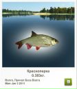 Іван Гнідець фотография #10 (источник - https://vk.com/id113923451)