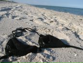 Фотография Логиновой Галины