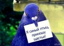 Фотография Белецкой Елены