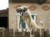 Фотография Нескажу Константина