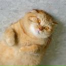 Фотография Grigoriev Evgen