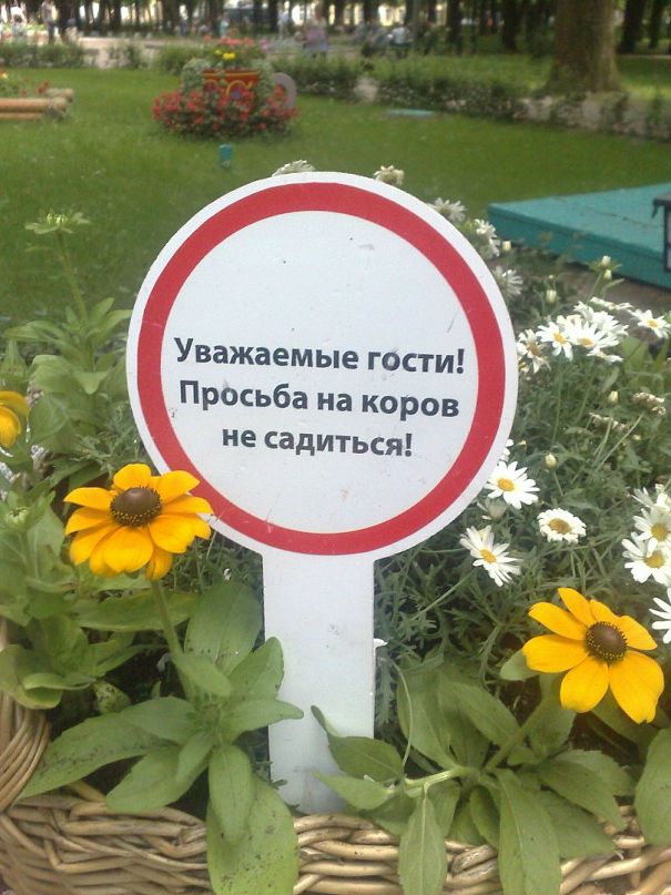 Костя Шпак фотография #23