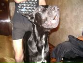 Фотография Сибиряка Ермака