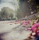 Фотография Коротаевой Севары