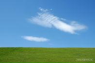 Фотография Казакова Наталья