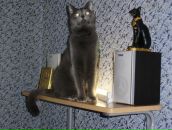 Фотография Трушниковой Татьяны