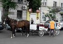 Міша Долинний фотография #44 (источник - https://vk.com/id142557588)