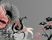 Кароліна Karolina фотография #18 (источник - https://vk.com/id25867737)