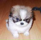 Андрій Островський фотография #6 (источник - https://vk.com/id10453537)