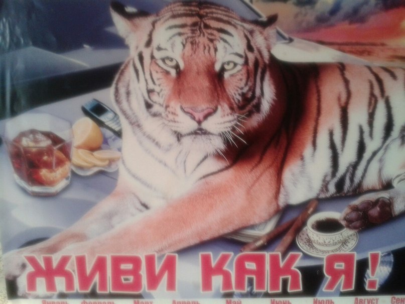 Сергей Кочен фотография #50