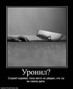 Фотография Котовой Дарьи
