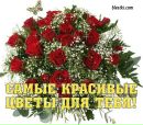 Фотография Суслоновой Евгении