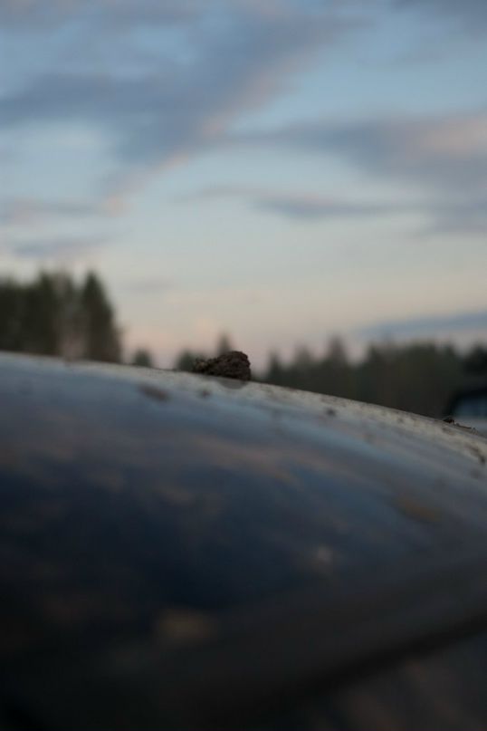 Сергей Метелин фотография #14