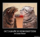 Анжеліка Котула фотография #33 (источник - https://vk.com/id43294547)