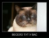 Фотография Параничевой Ирины