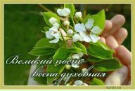 Фотография Смирновой Нины