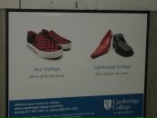 Elvin Mamedov фотография #5 (источник - https://vk.com/id110687619)