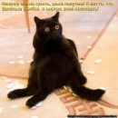Иришка Венцова фотография #25 (источник - https://vk.com/id4664078)