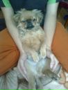 Вікуся Олеськів фотография #18 (источник - https://vk.com/id15405056)